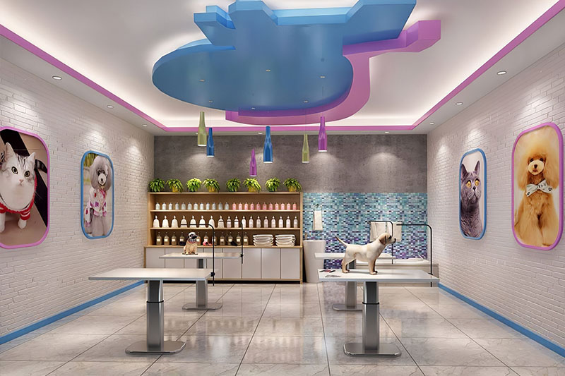 宠物店装修,杭州宠物店装修,宠物店装修设计 宠物店装修,杭州宠物店装修,宠物店装修设计